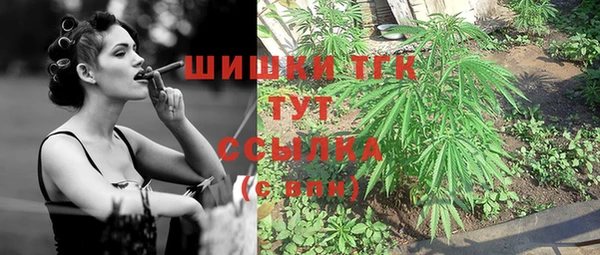 тгк Абаза