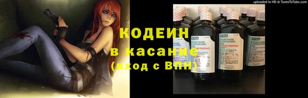 тгк Абаза