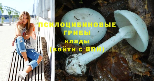 тгк Абаза