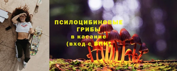 тгк Абаза
